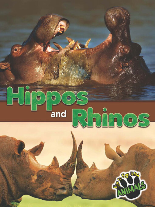 Title details for Hippos and Rhinos by Joanne Mattern - Available